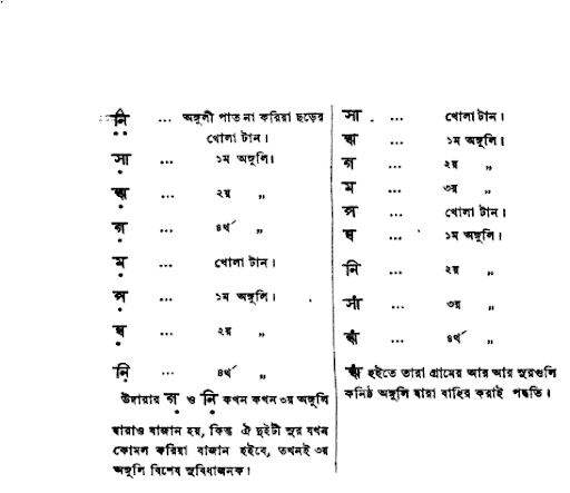 আঙ্গুল-পোষস্থ শুরনিচয়