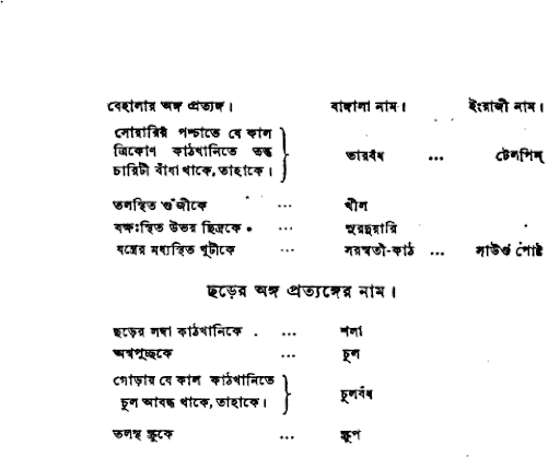 বেহালার উৎপত্তি ও আকৃতি প্রকৃতি
