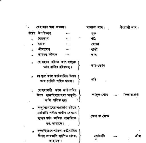 বেহালার উৎপত্তি ও আকৃতি প্রকৃতি